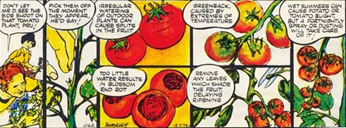 Mr. Digwell Comic: Tips for Raising Tomatoes